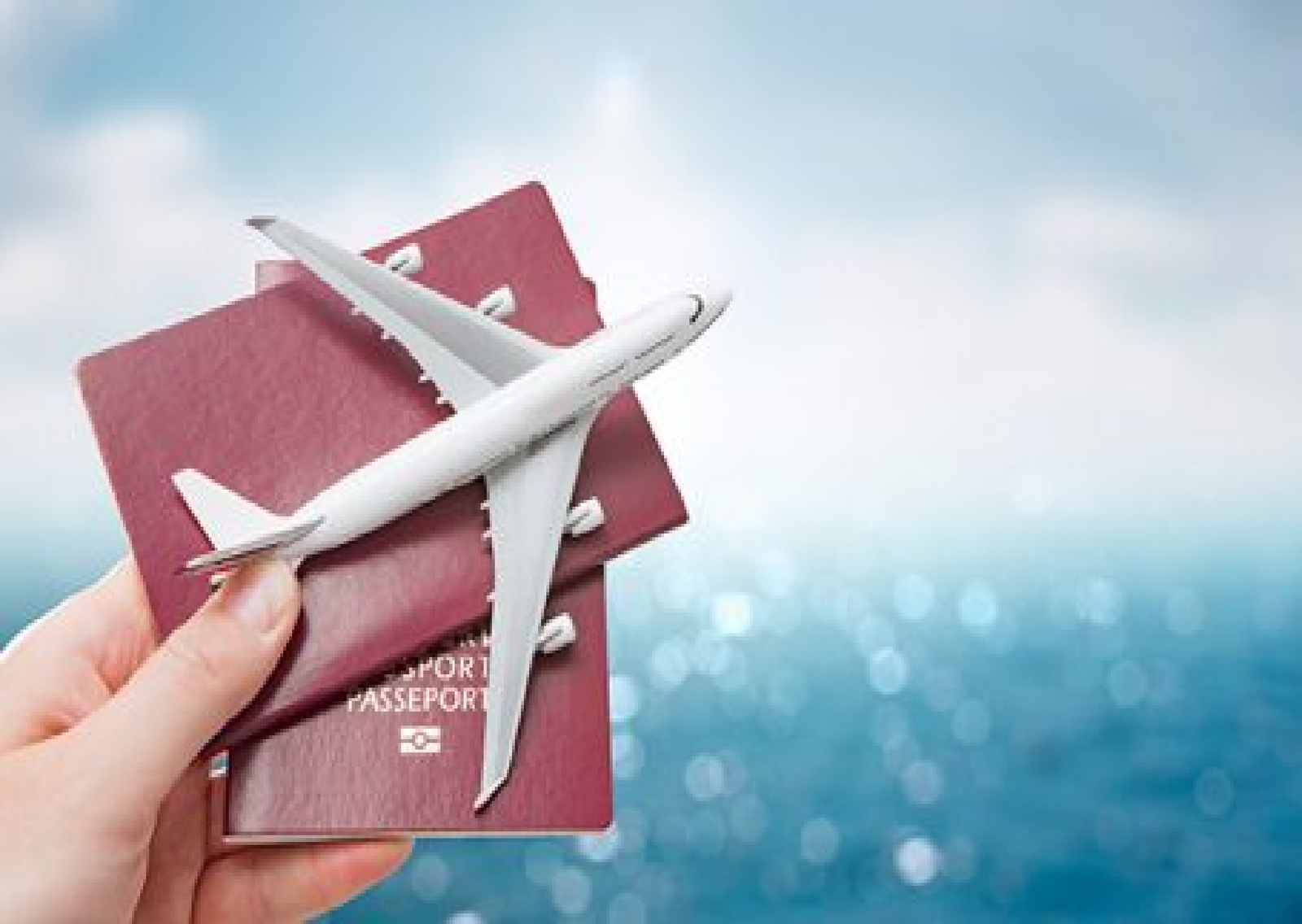 Passport and flight curbs