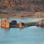 wildlife park City &I