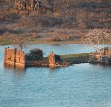 wildlife park City &I