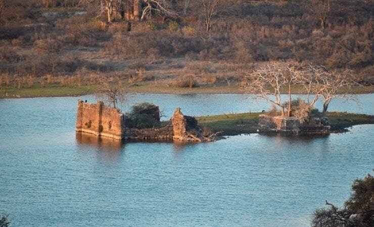 wildlife park City &I