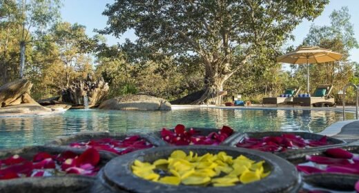 Singinawa Jungle Lodge Pool