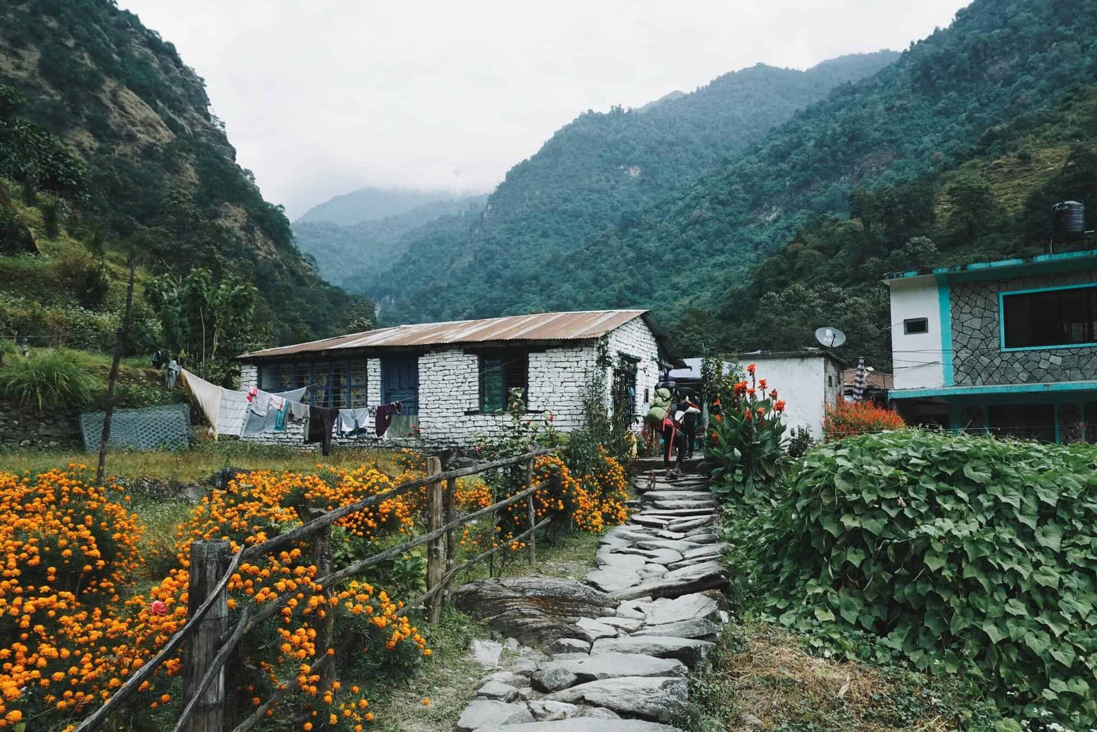 A Comfort trek in the Annapurna Lowlands 2