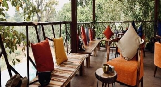 Kanha Jungle Camp Feature Image