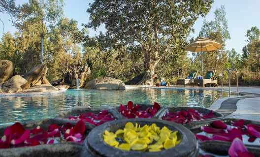 Singinawa Jungle Lodge