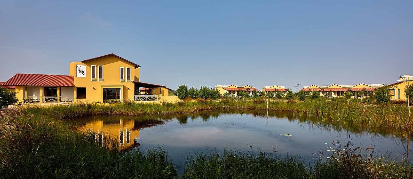 Black Buck Safari Lodge Accommodation